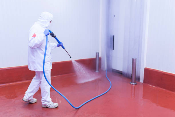 Trusted Junction City, CA  Pressure Washing Services Experts